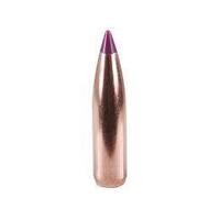 Nosler 6mm 95 gr Ballistic Tip 10 Pack