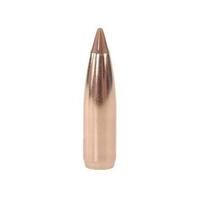 Nosler 6.5mm 100 gr Ballistic Tip 10 Pack