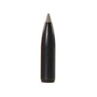 Nosler 6mm 95 gr Ballistic Silvertip 50 Pack