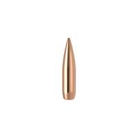 Nosler 6mm/.243 105 gr RDF 10 Pack