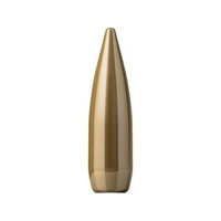 Sellier & Bellot .303 123 gr FMJ 100 pack