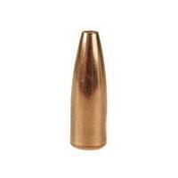 Speer .270 100 gr Varmint Hollow Point 100 Pack